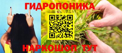 трава Гусев